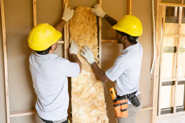 Best Eco-Friendly Insulation Solutions  in Dublin, GA